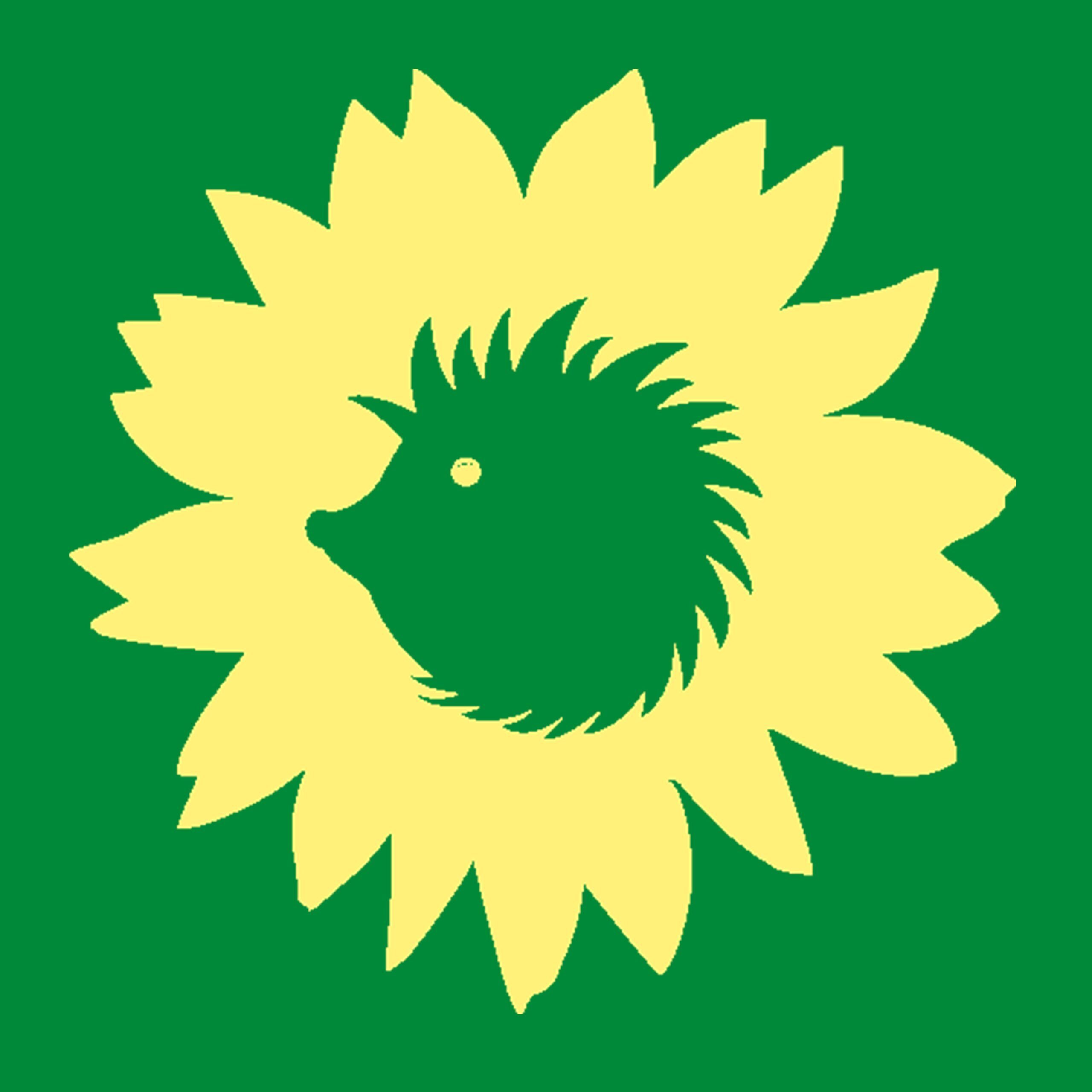 BÜNDNIS 90/DIE GRÜNEN